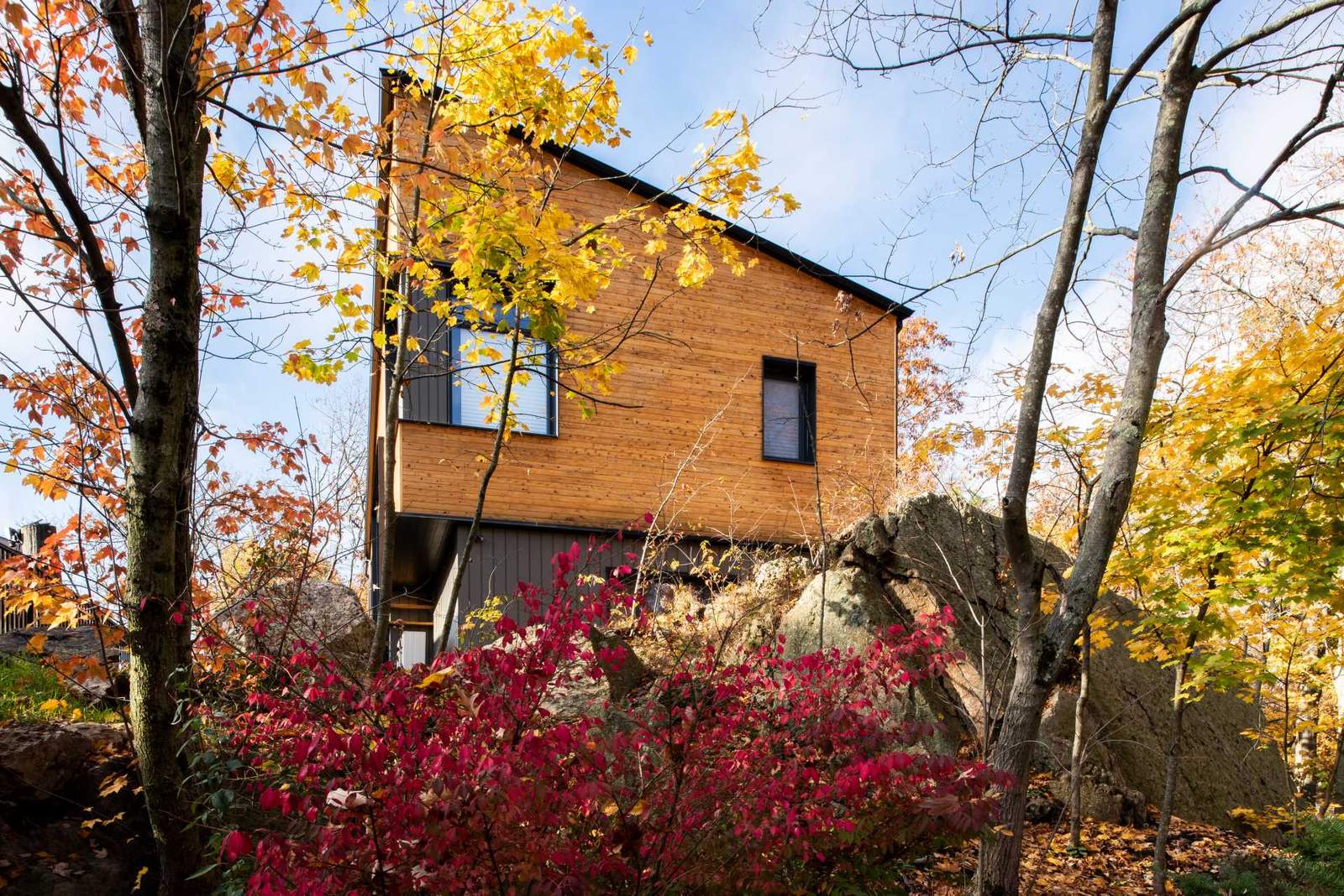 A modern home features an angled roof line, a clear-finished white cedar siding on the upper volume, and a painted siding made from materials recovered from manufacturing by-products on the lower volume.