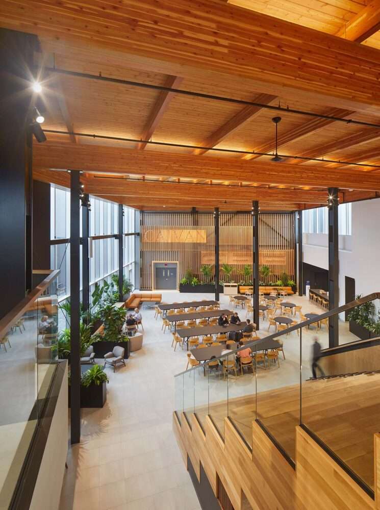 Creating warm sun-filled interiors for an office in Ottawa