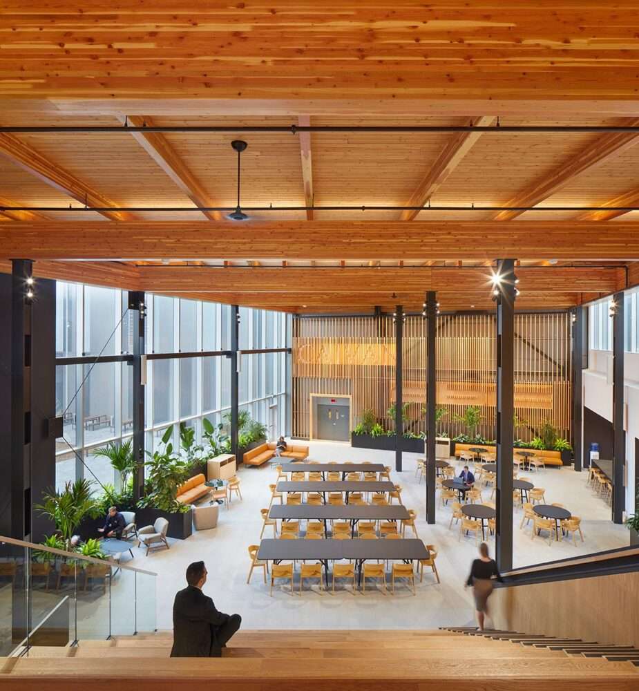 Creating warm sun-filled interiors for an office in Ottawa