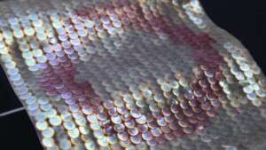 الاستخدامات اليومية المختلفة للبلاستيك الحيوي