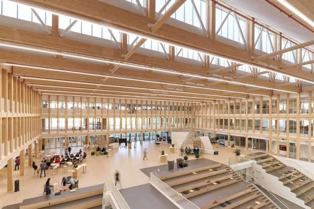 Transforming the potential of wood using modern technologies