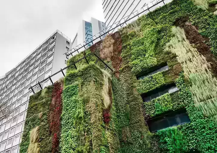 Green building regulations and policies