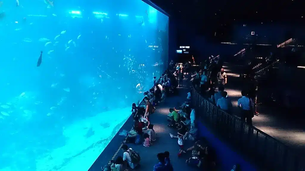 Visitors observing marine life through a giant acrylic panel at Dubai Mall Aquarium
