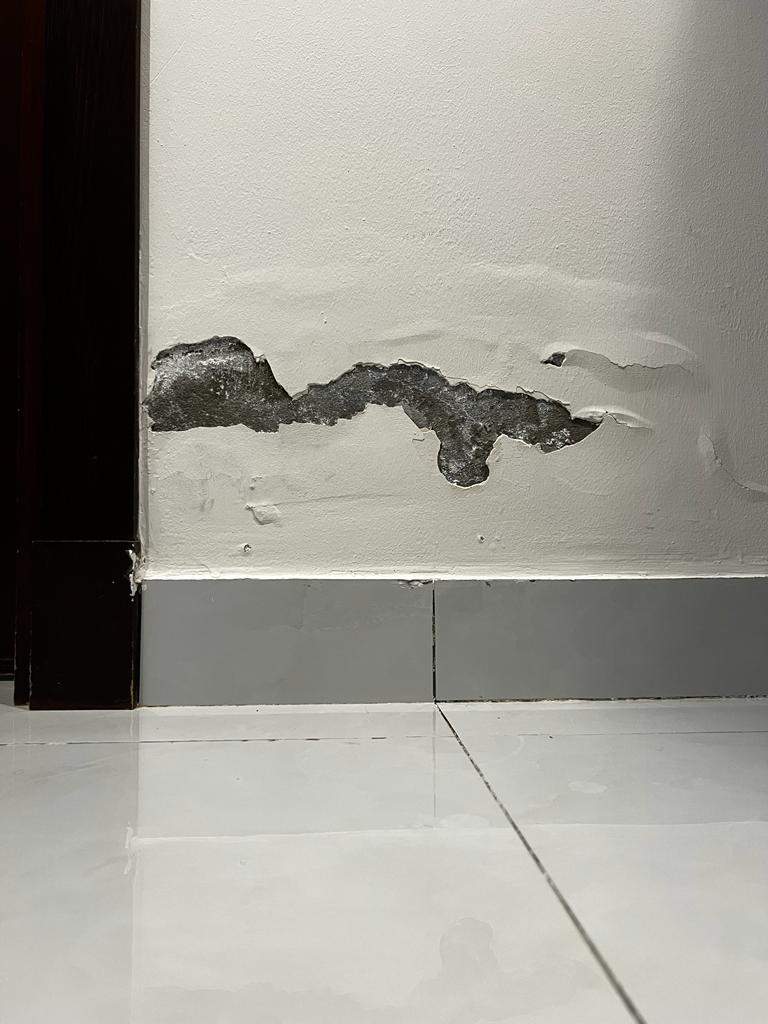 The Hidden Dangers of Moisture in Building Walls: A Professional Insight
