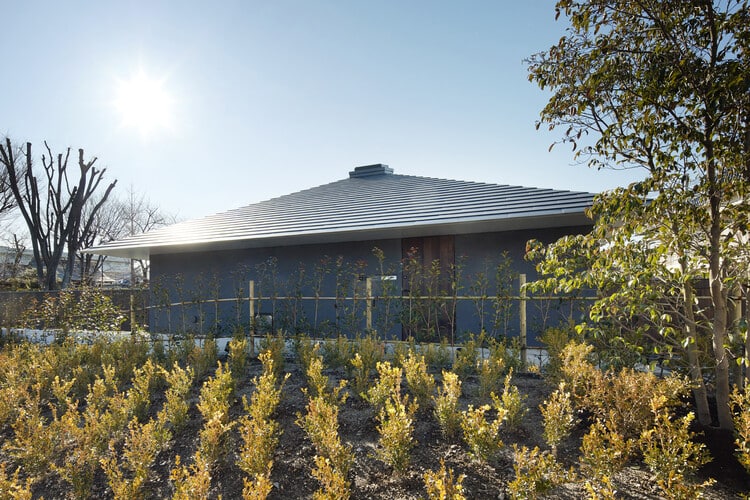 WO House / Yo Yamagata Architects - التصوير الخارجي، النوافذ، الغابة