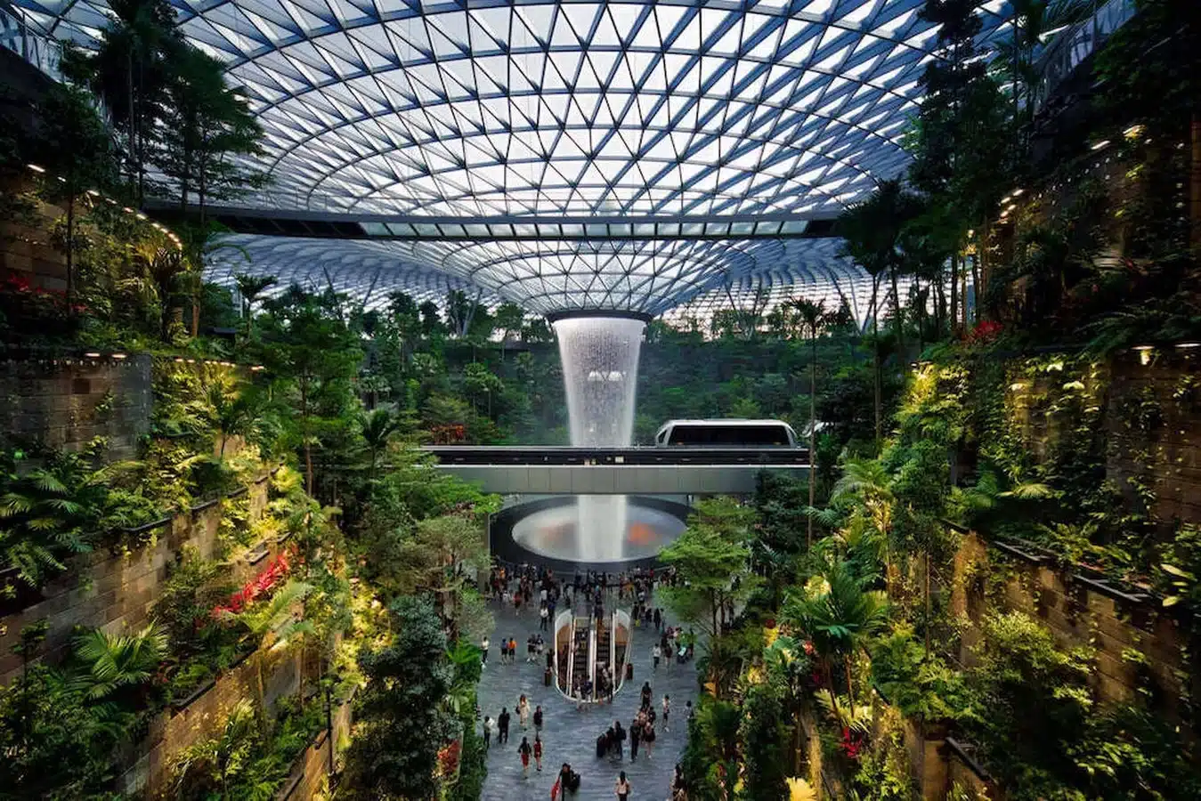 Biomimetic design & Biophilic design Which is better?