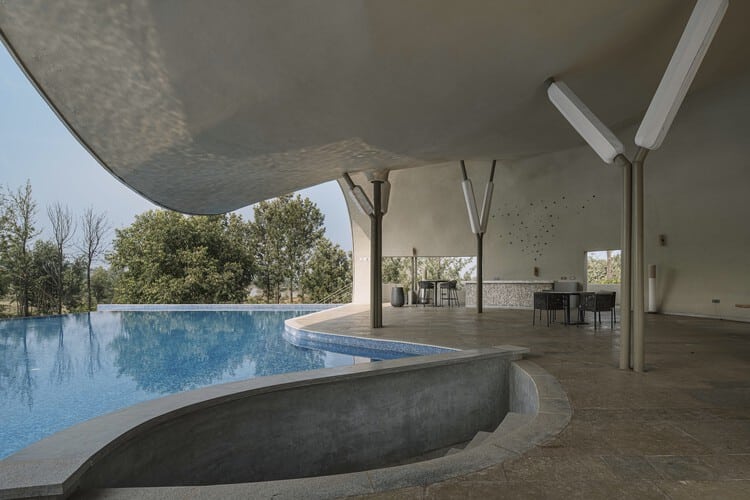 حمام السباحة المائي والمنتجع الصحي / تصميم ضوء الشجرة - التصوير الداخلي