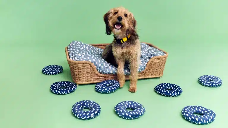 IKEA Launches Its First Pet Product Range in Collaboration with Woodgreen Pets Charity
