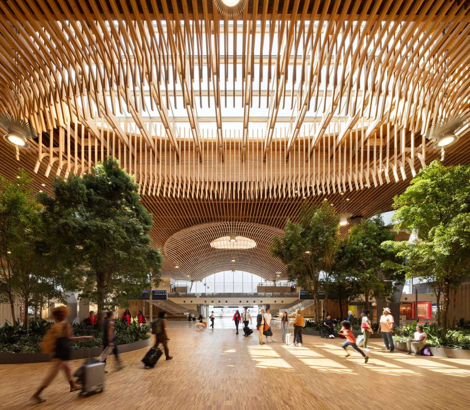 interior of Portland Airport showing timber roof