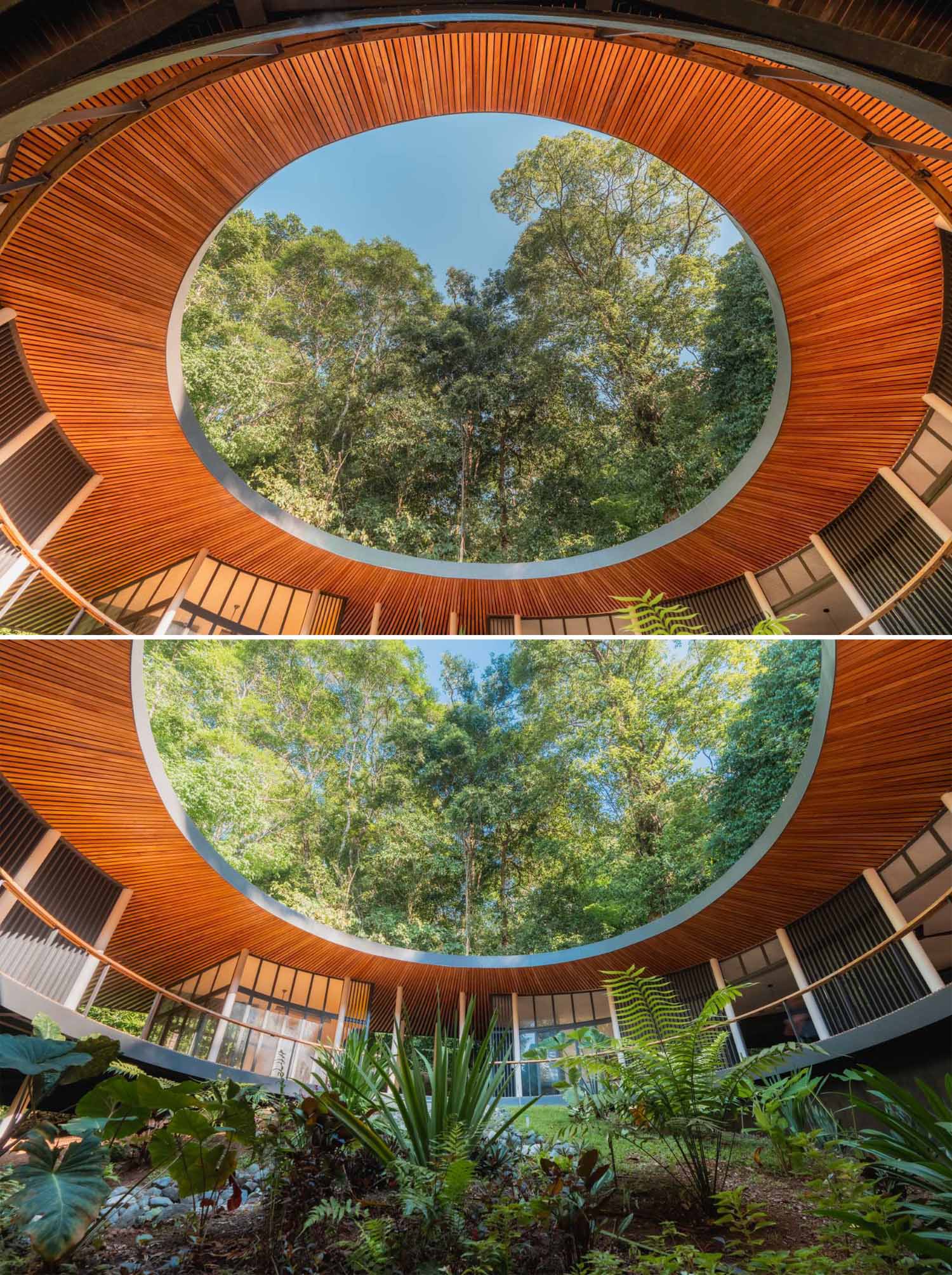 منزل دائري حديث خارج الشبكة مرفوع على ركائز متينة.