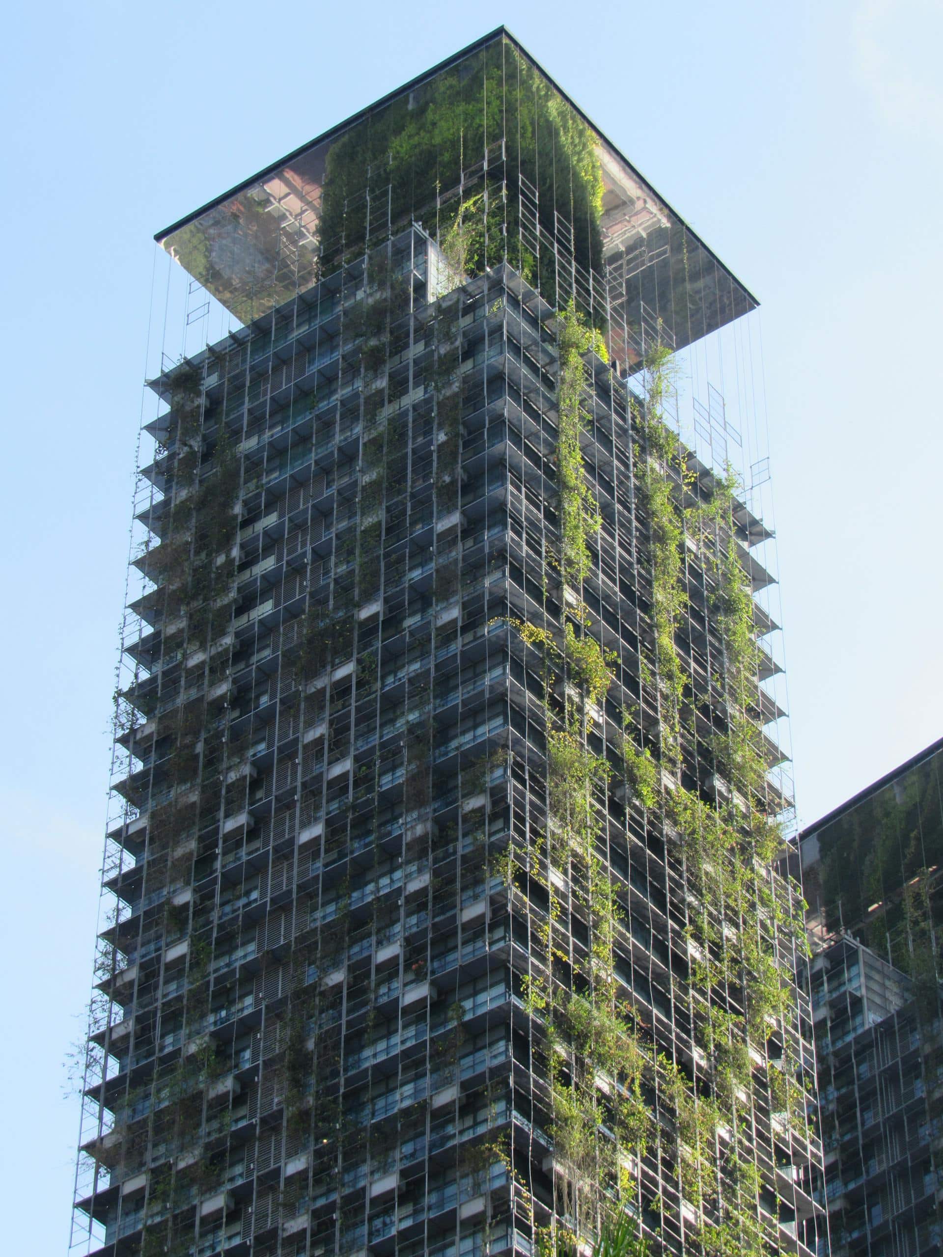 The Role of Building Materials in Biophilic Design Explained