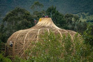 Toroid structure construction at Fundacion Organizmo