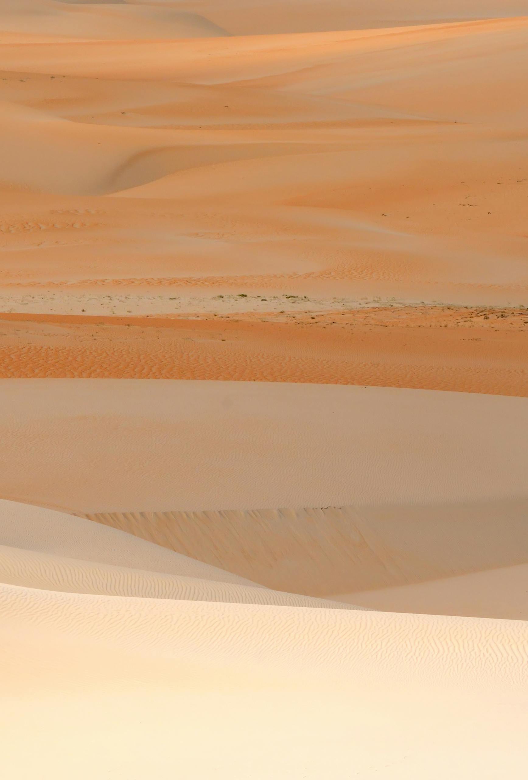 Beautiful layers of sand dunes under sunlight, showcasing the natural beauty of a vast desert.