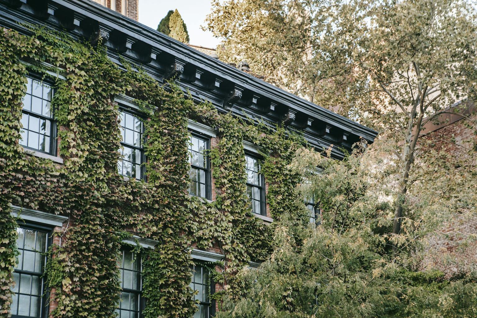 Durable and Versatile mdf east africa Solutions for Efficient Construction