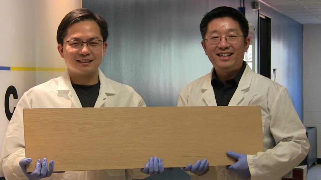 Two researchers in lab coats holding a piece of enhanced wood.