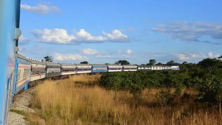 A long passenger train moving through an open grassy area.