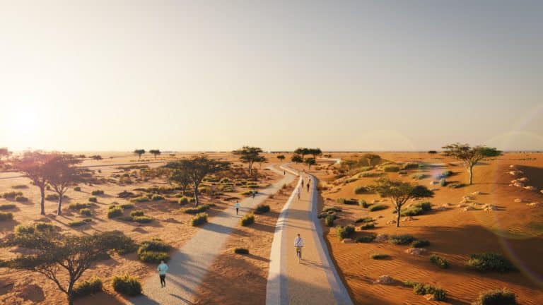 A pathway in the desert with people walking, lined with a few planted trees on both sides.