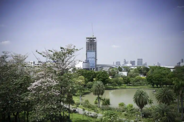 An image of a green park with a small lake in Bangkok, featuring a high-rise under construction in the background.