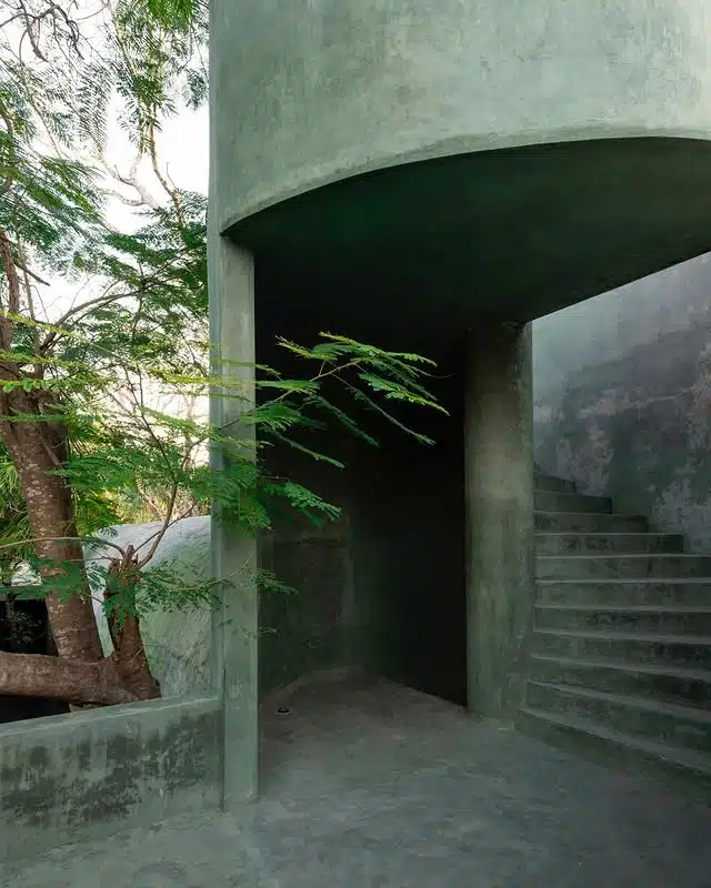 Green-gray concrete architectural entrance with curved stairs and a prominent tree