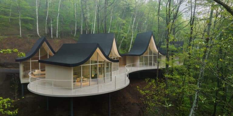 Hand-in-Hand House with wavy roofs blending into the surrounding forest.