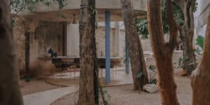"An interior view showcasing an open living space with trees growing between concrete structures, illustrating the concept of building a house around gardens.
