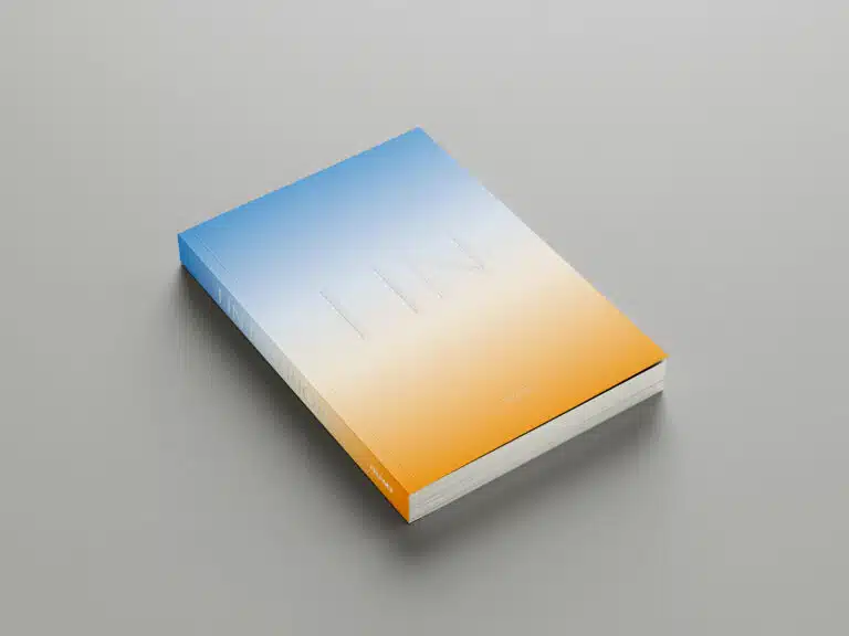cover of I-IN book