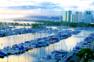 A serene marina filled with sailboats, showcasing the harmony between coastal nature and modern urban development in the background, with a stunning sunset adding beauty to the scene.
