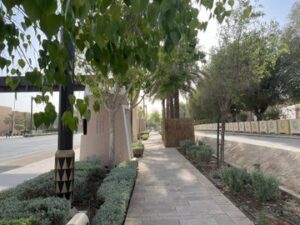 A modern pedestrian walkway surrounded by shade trees and native plants in a newly developed street in Diriyah