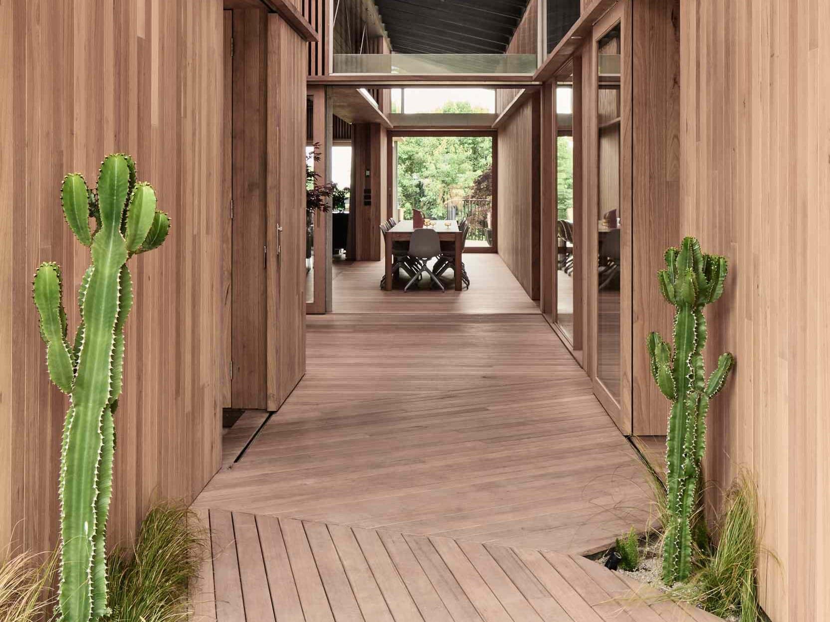 A beachside boardwalk reimagined as the spine of a modern home