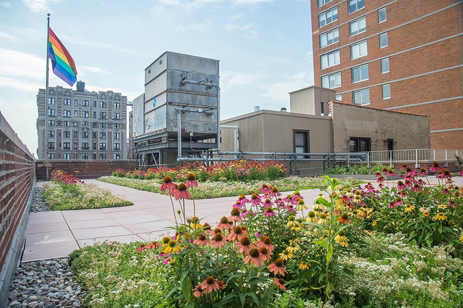 "A vibrant green roof garden at Rutgers Presbyterian Church, showcasing sustainable design as part of its ongoing restoration project."