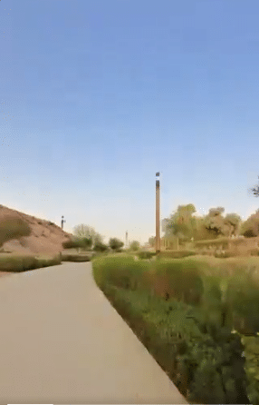 A tranquil pathway lined with neatly trimmed hedges on one side and a sandy hill on the other, leading towards a distant tree-lined horizon. The scene reflects a blend of natural beauty and urban design, emphasizing comfort and accessibility