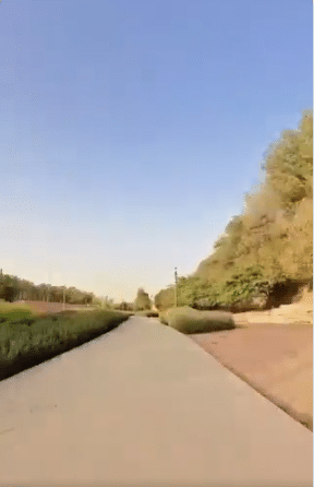 A wide, inviting pathway stretches into the distance, flanked by lush green hedges on one side and a sandy hill on the other. The scene is bathed in sunlight under a clear blue sky, creating a peaceful and welcoming atmosphere.