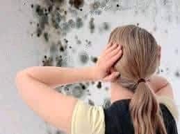 امرأة تمسك رأسها أمام جدار ملوث بالعفن، مما يُبرز التأثير الصحي السلبي الناتج عن العواصف والفيضانات