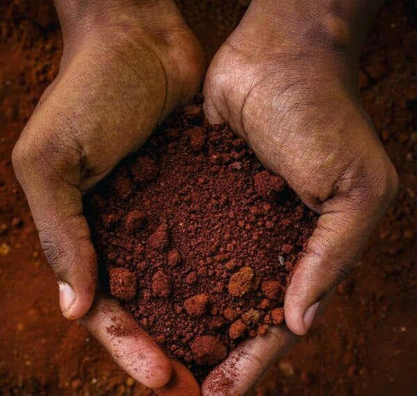 Human hands holding a handful of rich, reddish soil, the primary material used in rammed earth construction.