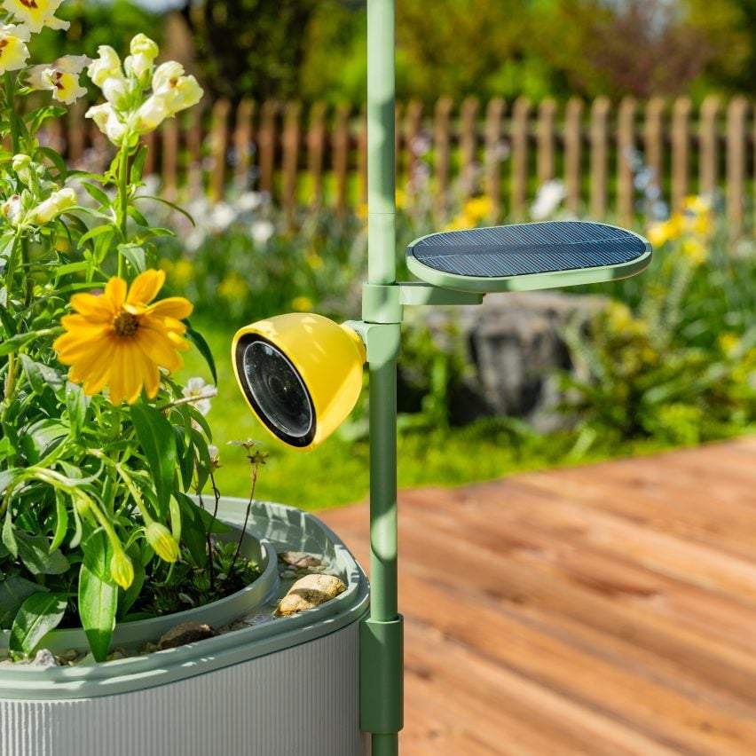 Petal Camera: AI-Powered Nature Documentaries for Your Backyard