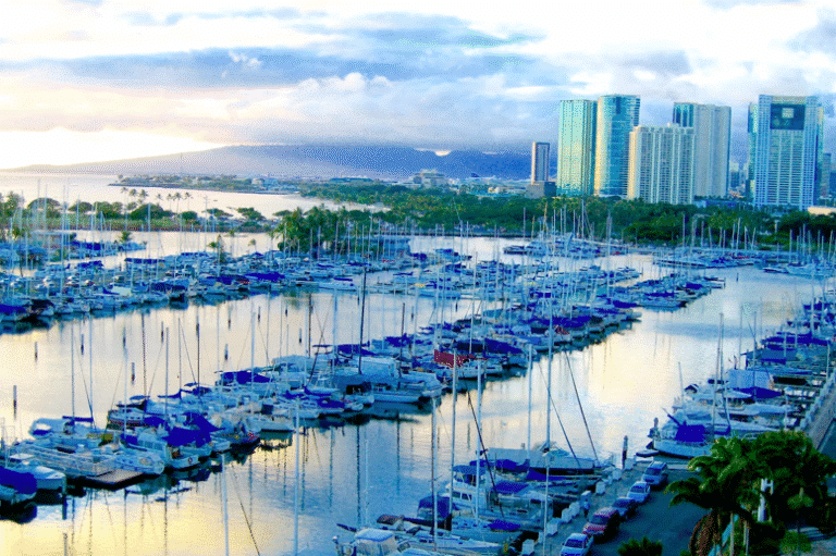 A serene marina filled with sailboats, showcasing the harmony between coastal nature and modern urban development in the background, with a stunning sunset adding beauty to the scene.