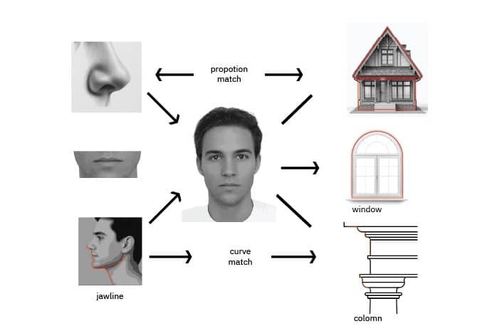 An image illustrating the connection between human facial features and architectural elements. It shows parts of the face, such as the nose and jawline, alongside architectural features like windows and columns, with arrows indicating a match in proportions or curves.
