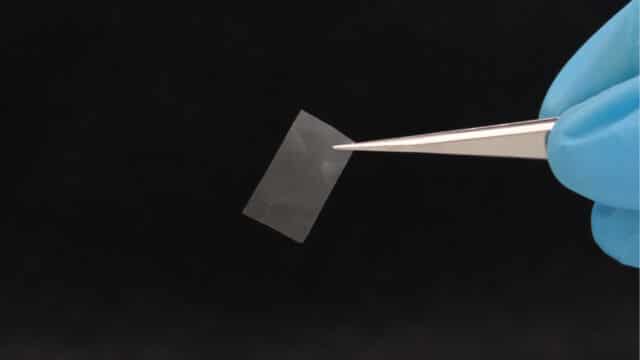 A scientist holds a piece of mycelium paper with tweezers, demonstrating the precise handling of this new biomaterial in sustainable building materials research.