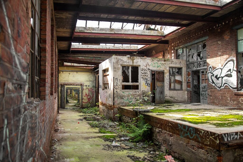 Interior of an abandoned building filled with graffiti, blending chaos with cultural expression