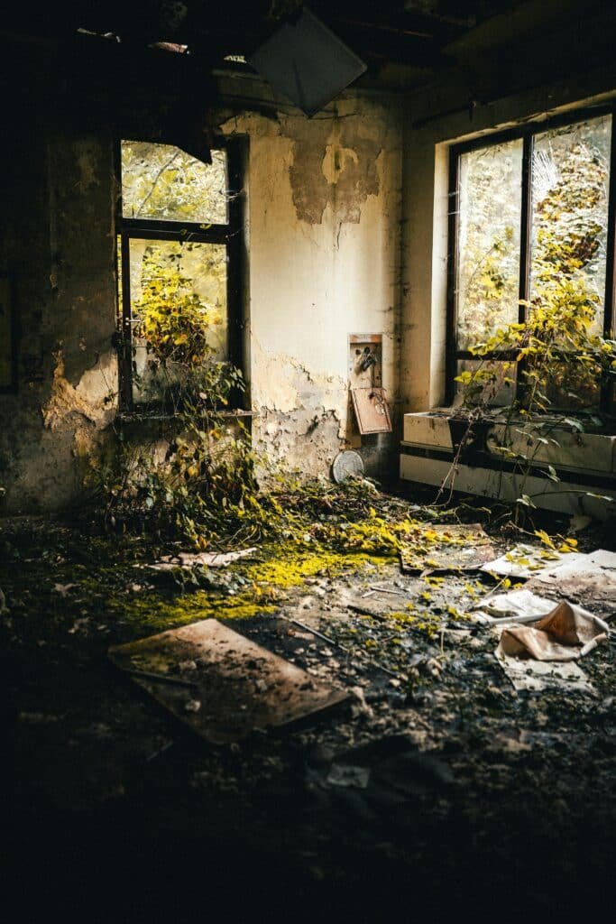 Interior corridor of an abandoned building, sunlight filtering through debris with climbing plants