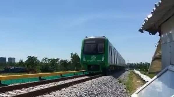 A green metro train passes through railway tracks in a green area