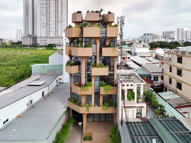 The Jungle: A Tropical Oasis in Vietnam’s Urban Landscape