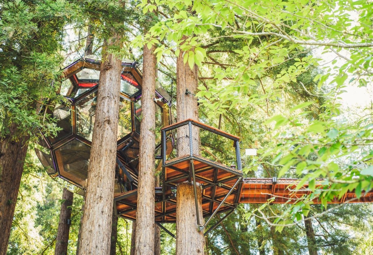 Treehouse Platform: Innovative Design in Nature