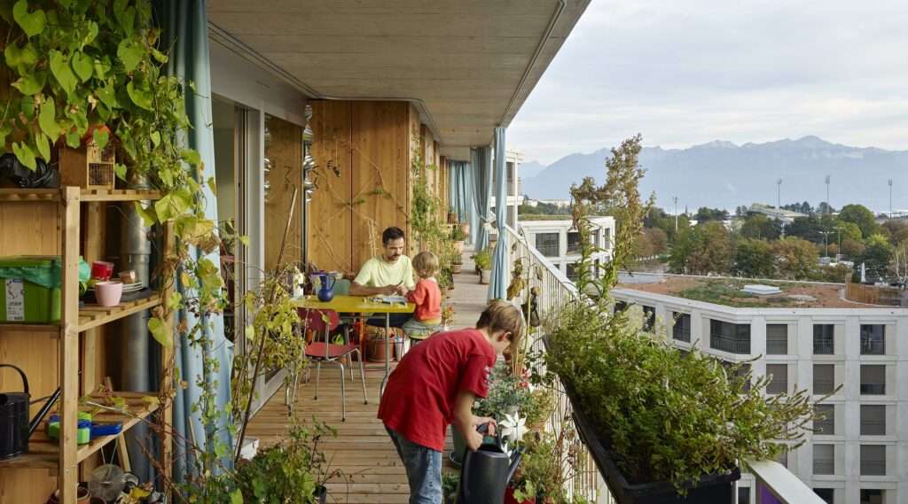 Communal terrace with greenery at the “Le Bled” cooperative project