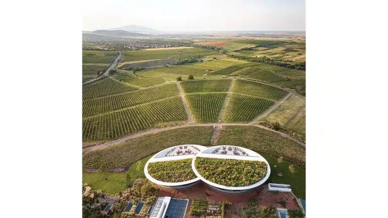 لقطة: أجرى المجر Tokaj Winery Bains Fintages مع مناظر بانورامية
