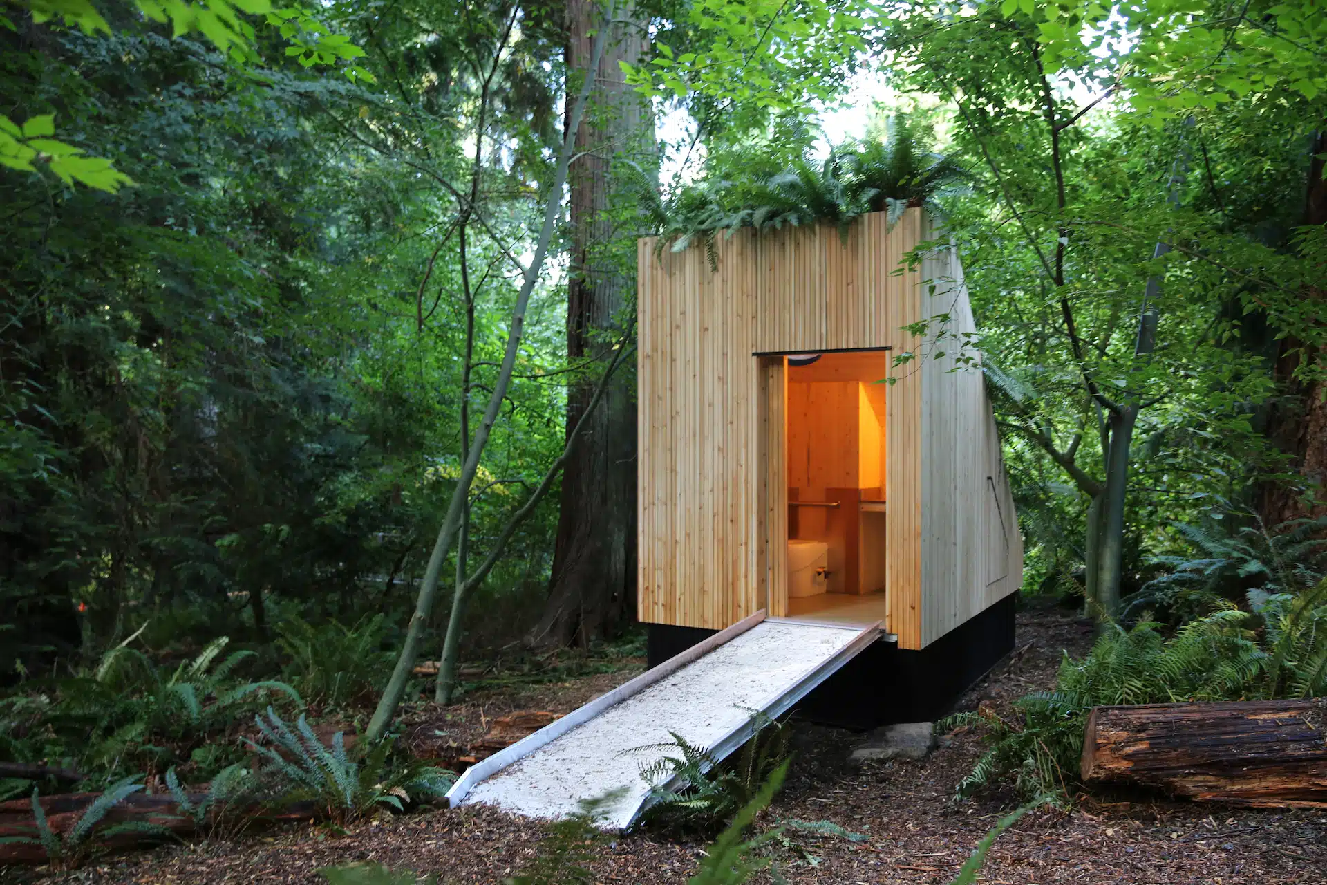 Photo of the first toilet made of sustainable materials among the trees