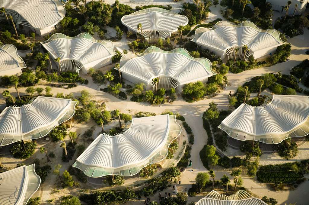 Aerial view of the &ldquo;Live JLL&rdquo; project showing green spaces and trees integrated into the design