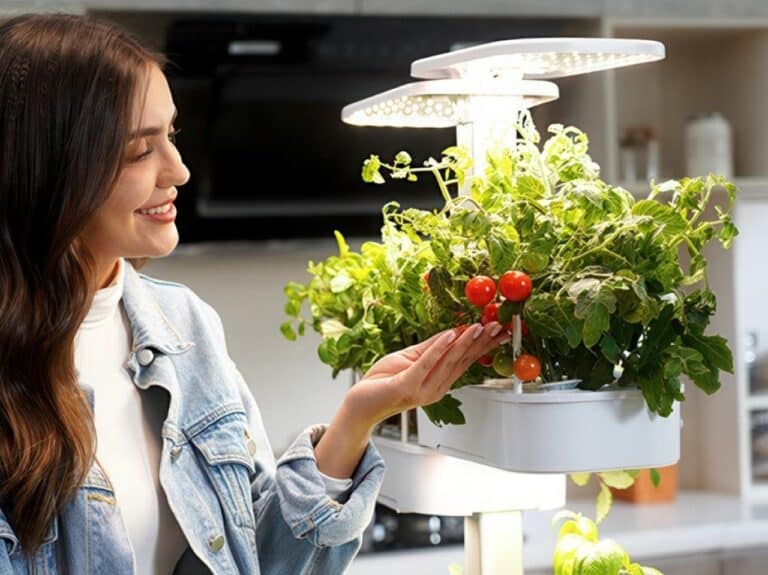 The Fastest (and Cheapest) Way To Grow Your Own Groceries In Your Kitchen Garden