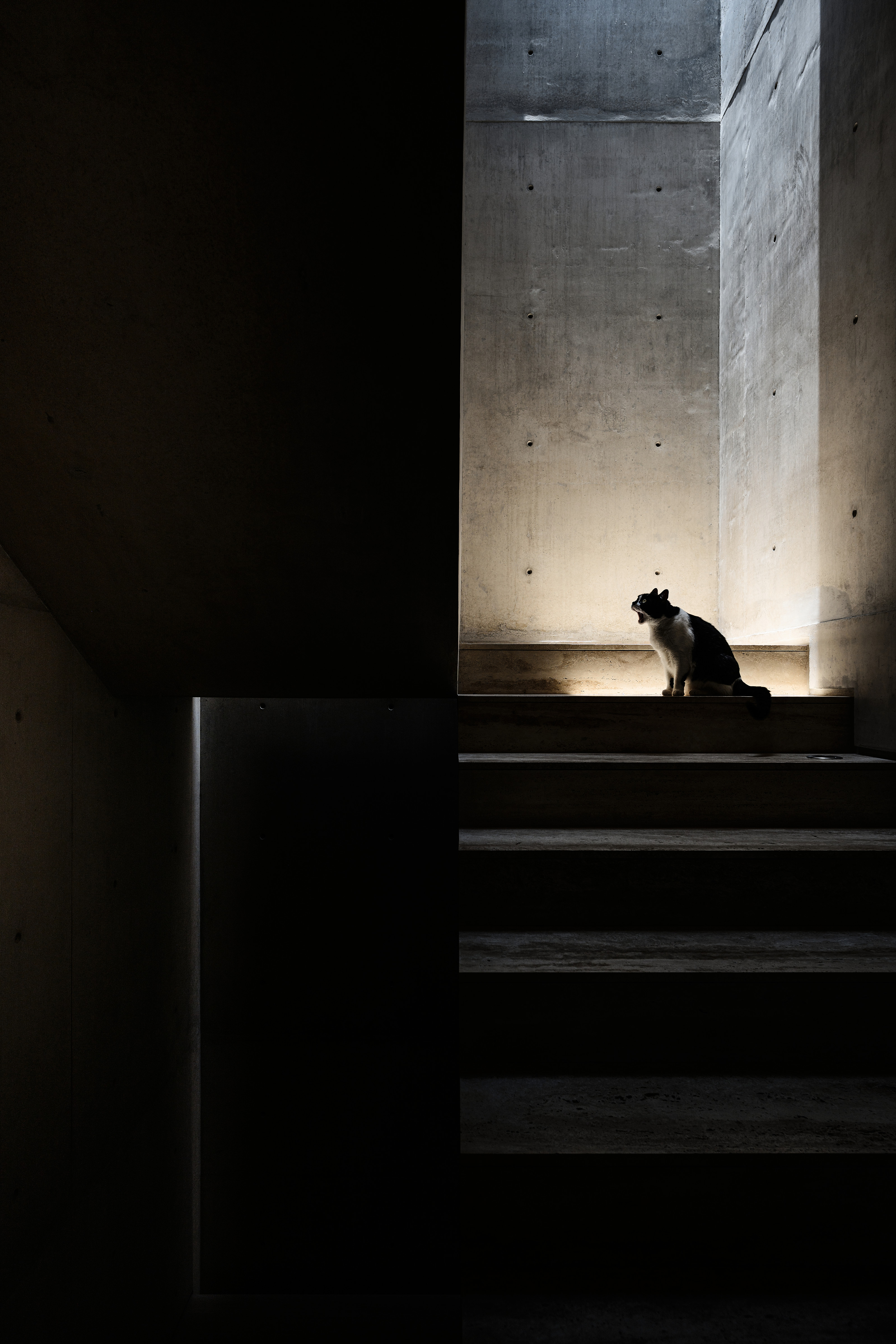 The staircase at the heart of the house