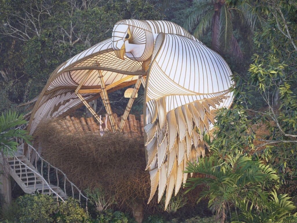 Bamboo yoga platform suspended among trees in a serene forest